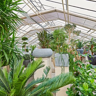 Künstliche Pflanzen