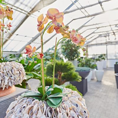 Künstliche Phalaenopsis