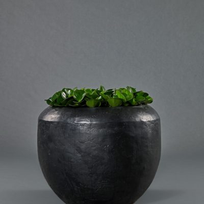 Loft mattschwarz <br>mit Pepoeromia