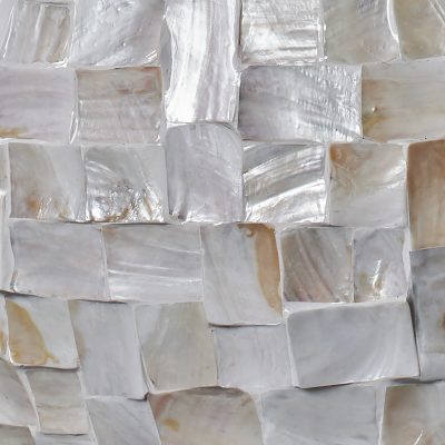 Muschelgefäß <br>Makro